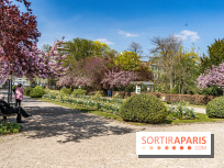 Parc de Bécon à Courbevoie - Pavillon des Indes - Cerisiers en fleurs -  A7C0047