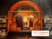 Harry Potter l'exposition cours de potions