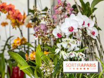 Esprit Jardin à Versailles - Marché aux plantes et animations