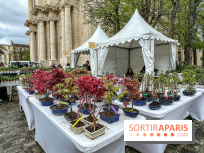 Esprit Jardin à Versailles - Marché aux plantes et animations  - IMG 6096