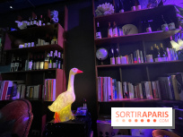 Griffon - Visuels - IMG 3794