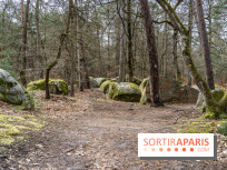 Barbizon, le village entre art et nature  -  A7C7555