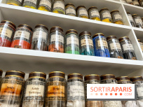 Musée de la Pharmacie - Dynastie Menier - IMG 2189