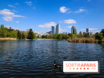 Parc André Malraux à Nanterre, nos photos - IMG 9748