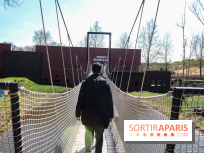 Zoo de Thoiry 2023 - Terre des gorilles