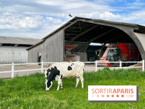 La Ferme de Viltain / La Cueillette de Viltain - image00010