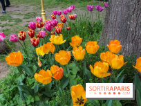 Wat Thammapatip Inrernational : la pagode bouddhiste et sa street food thaï, à Moissy-Cramayel - 99FD4B48 6186 4387 98E1 8653B6C21110