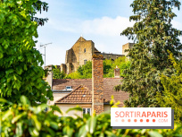 Le Château de la Madeleine à Chevreuse  -  A7C3890