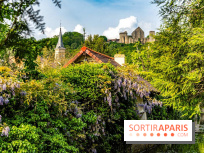 Le Château de la Madeleine à Chevreuse  -  A7C3910