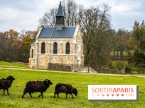 Domaine National de Port-Royal des Champs dans les Yvelines