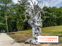 Perchoir Y, restaurant par Guillaume Sanchez et guinguette en forêt