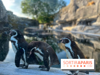 Nocturnes au Parc Zoologique de Paris - IMG 3481