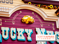Disneyland Secrets visuels Lucky Nuggets