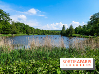 Balade nature dans la forêt de Montmorency, nos photos