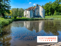Balade nature dans la forêt de Montmorency, nos photos