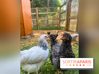 La ferme de la Villette et ses animaux