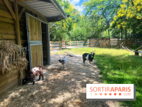 La ferme de la Villette et ses animaux