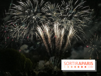 Visuels feux d'artifice - IMG 6241