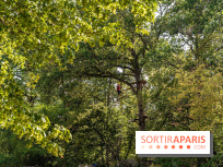 Ile de loisirs de Bois le Roi - base de loisirs