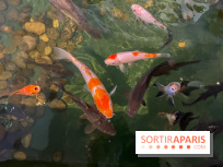 La Maison de la Pêche et de la Nature - image00031