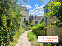 Le long de l'Oise, entre Auvers-sur-Oise et l'Isle-Adam - image00004