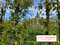 Potager du Roi