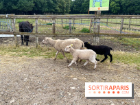 La ferme de Saint-Cyr l'Ecole - image00041