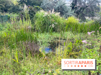 Le parc Georges Brassens, pour se croire à la campagne dans le 15e
