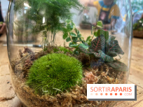 Boby la Plante