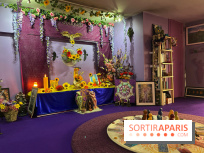 Les Mists Terre d'Avalon - IMG 4560