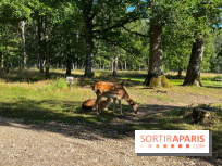 Espace Rambouillet