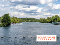 Village de Bois-le-Roi : les Affolantes en bord de Seine -  A7C8869