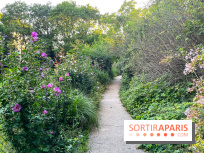 Le parc de Belleville - image00019