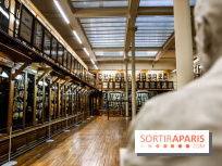 Musée des Moulages à Paris, nos photos - IMG 0845