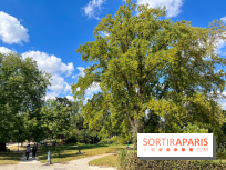 Parc de la butte du chapeau rouge