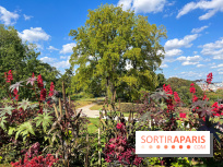 Parc de la butte du chapeau rouge