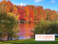 Bassin - étang de la Boissière à Elancourt