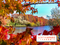 Bassin - étang de la Boissière à Elancourt