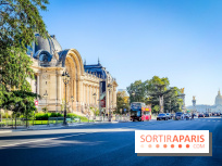 Nuits corticales, l'exposition contemporaine de Loris Gréaud qui transforme le Petit Palais - photos - IMG20231002164823