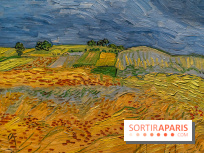 Exposition Van Gogh au Musée d’Orsay - Auvers-sur-Oise, les derniers mois -  A7C3103