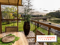 Les lodges de Thoiry - dormir à Thoiry en Terres d'Afrique - Photos