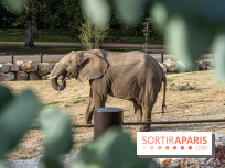 Les lodges de Thoiry - dormir à Thoiry en Terres d'Afrique - Photos -  A7C3299