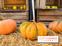 Automne au Potager du Roi - Citrouilles - Halloween