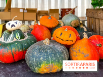 Automne au Potager du Roi - Citrouilles - Halloween