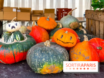 Automne au Potager du Roi - Citrouilles - Halloween