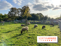 La ferme pédagogique du parc des Chanteraines
