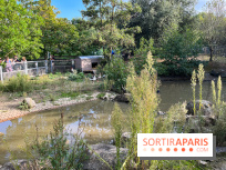 La ferme pédagogique du parc des Chanteraines