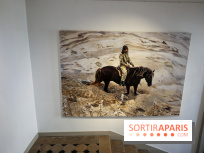 Sara-Vide Ericson : les photos de son expo à l'Institut suédois - IMG 1314