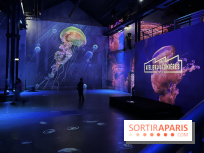 Océans, l'Odyssée Immersive à l'Atelier des Lumières - IMG 6095