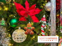 Les vitrines et décors de Noël 2023 du Bon Marché Rive Gauche